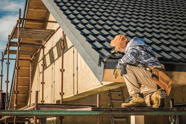 Best Roof Gutter Cleaning  in Avonia, PA